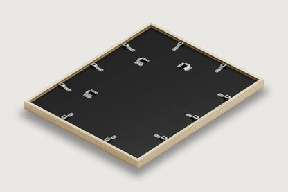 Stay off the Dunes! - Reproduction